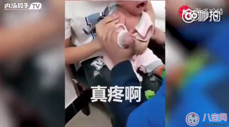 6个月大婴儿打针说话是真的吗 婴儿多大会说话 6个月大婴儿打针说话是真的吗 婴儿多大会说话