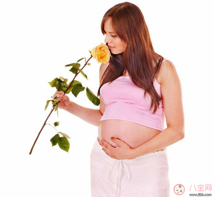 孕期可以插花胎教吗 孕妇什么时候连插花胎教 孕期可以插花胎教吗 孕妇什么时候连插花胎教
