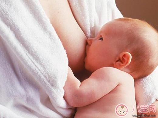 女性哺乳期吃什么奶水多 哺乳期哪些食物是不能吃的 女性哺乳期吃什么奶水多 哺乳期哪些食物是不能吃的