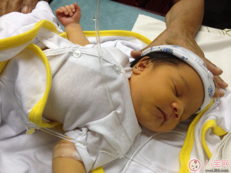 宝宝黄疸可以给他停掉母乳吗 孩子黄疸停母乳吃什么好 宝宝黄疸可以给他停掉母乳吗 孩子黄疸停母乳吃什么好